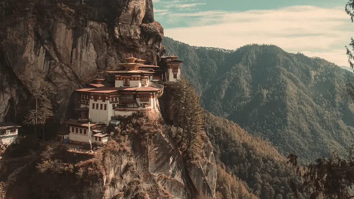Paro | Terramundi